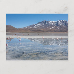 SALAR DE UYUNI SALT FLAT, BOLIVIA POSTCARD