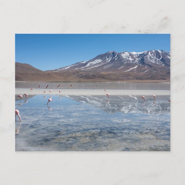 SALAR DE UYUNI SALT FLAT, BOLIVIA POSTCARD (Front)