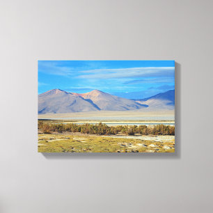 Salar del Huasco, Chile Canvas Print