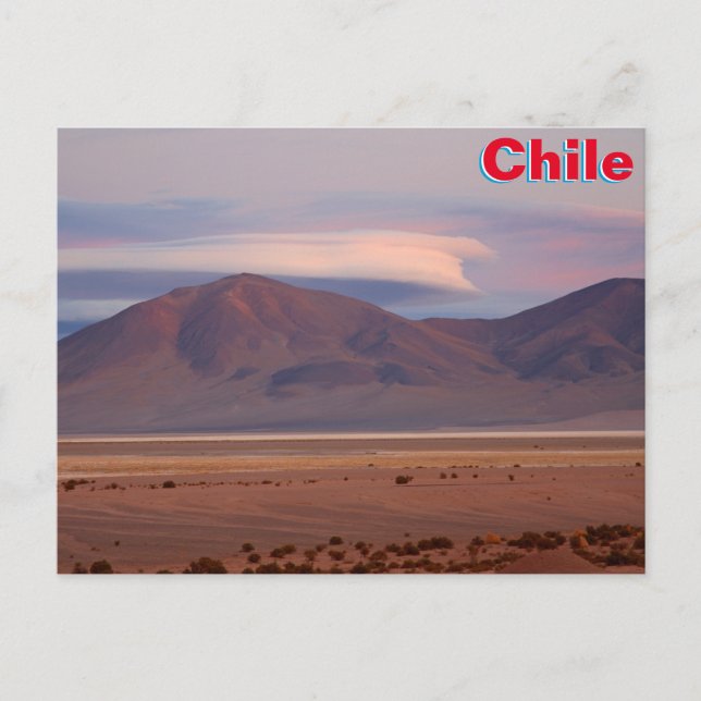 Salar del Huasco, Chile Postcard (Front)