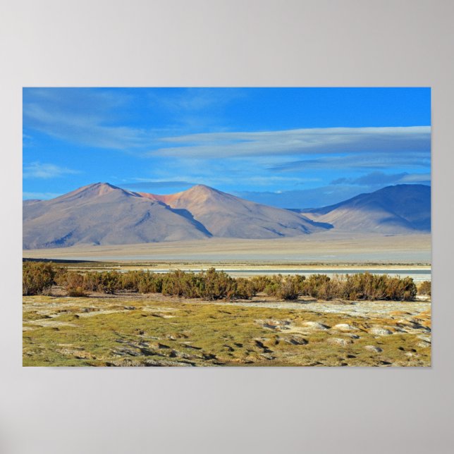 Salar del Huasco, Chile Poster (Front)