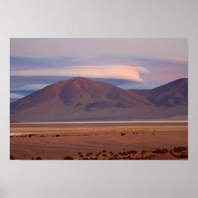 Salar del Huasco, Chile Poster (Front)