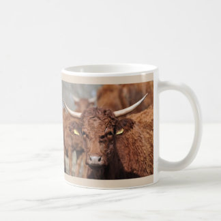 Salers cow mug
