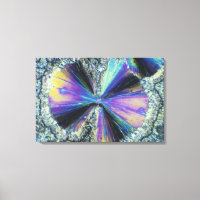 Salicylic Acid Crystals Viewed in Polarised Light