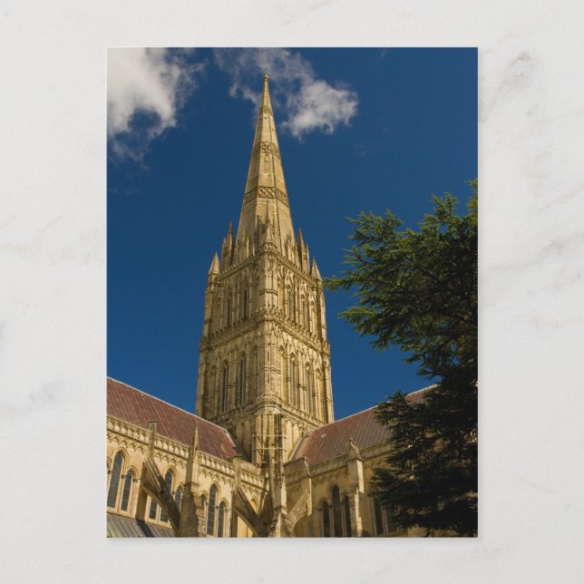 Salisbury Cathedral Postcard (Front)