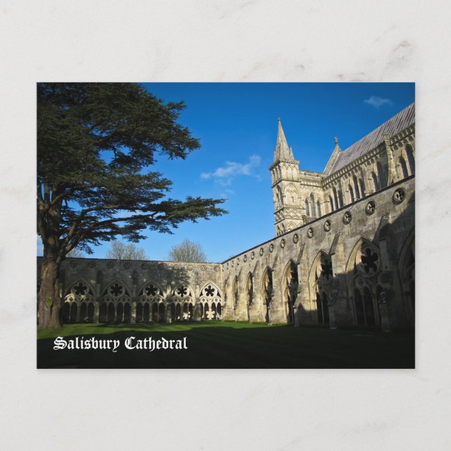 Salisbury Cathedral Postcard (Front)