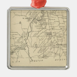 Salisbury, Merrimack Co Metal Tree Decoration