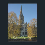 Salisbury Postcard<br><div class="desc">Postcard with photo of Salisbury,  Wiltshire,  from New Forest Pics</div>