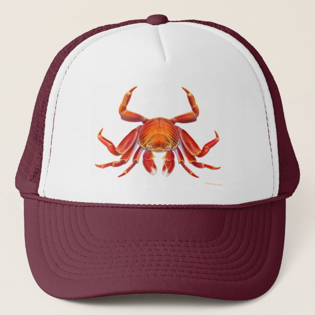 Sally Lightfoot Crab Hat (Front)