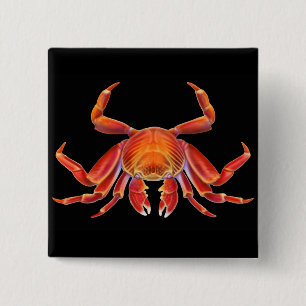Sally Lightfoot Crab Pin