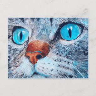 Sally the Blue Eyed Cat Postcard