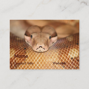 Salmon Boa Business Card