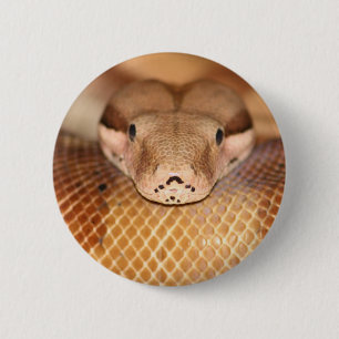 Salmon Boa Button