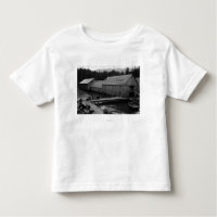 Salmon Cannery near Ketchikan, Alaska