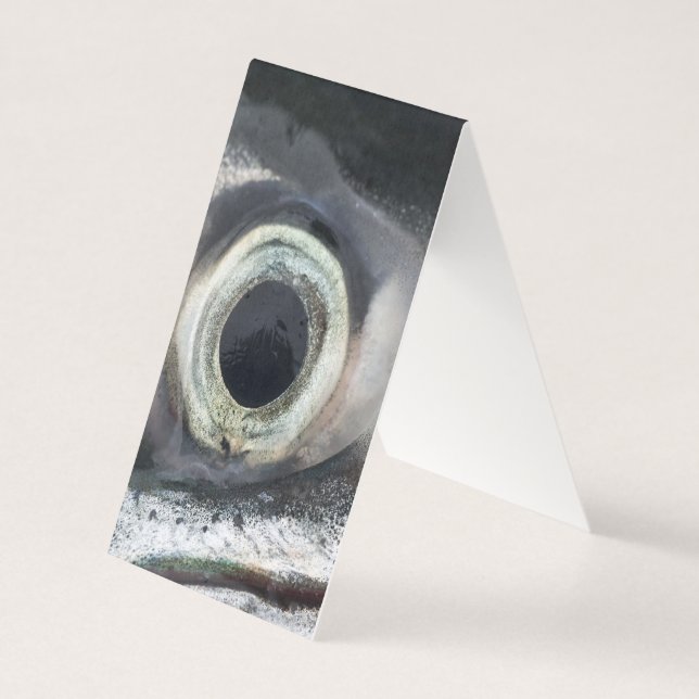 Salmon Eye (Front)