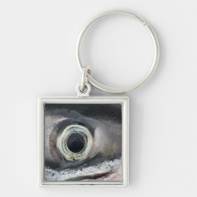 Salmon Eye Key Ring (Front)