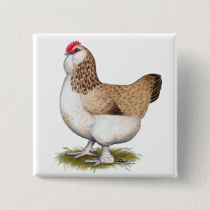 Salmon Faverolle Hen 15 Cm Square Badge