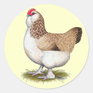 Salmon Faverolle Hen Classic Round Sticker