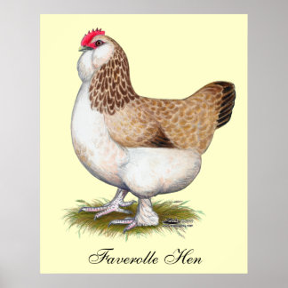 Salmon Faverolle Hen Poster