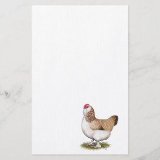 Salmon Faverolle Hen Stationery