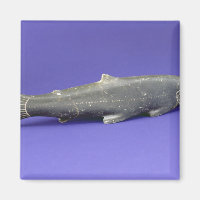 Salmon, from Cape Dorset