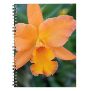 Salmon Orchid Spiral Notebook