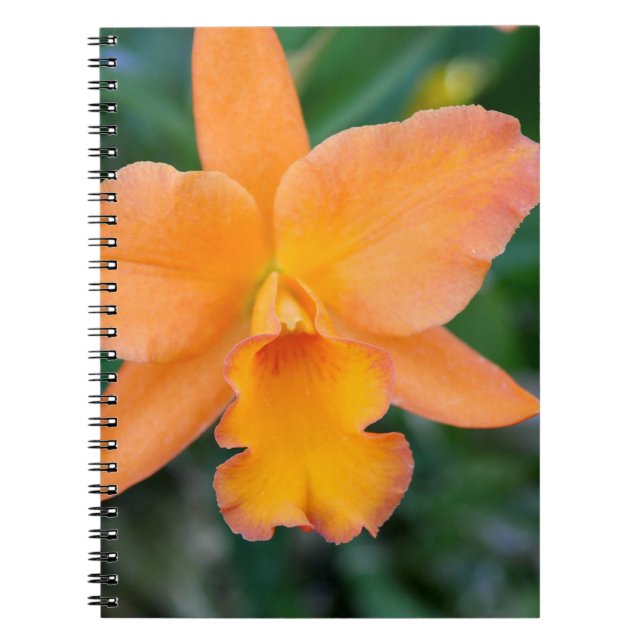 Salmon Orchid Spiral Notebook (Front)