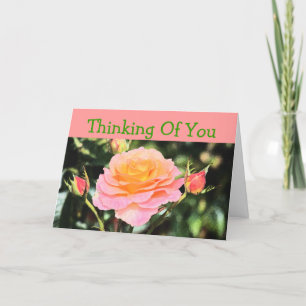 Salmon Pink Rose" Thinking Of You " (photog.) Card