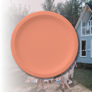 Salmon Pink Solid Colour   Trendy Colour Paper Plate