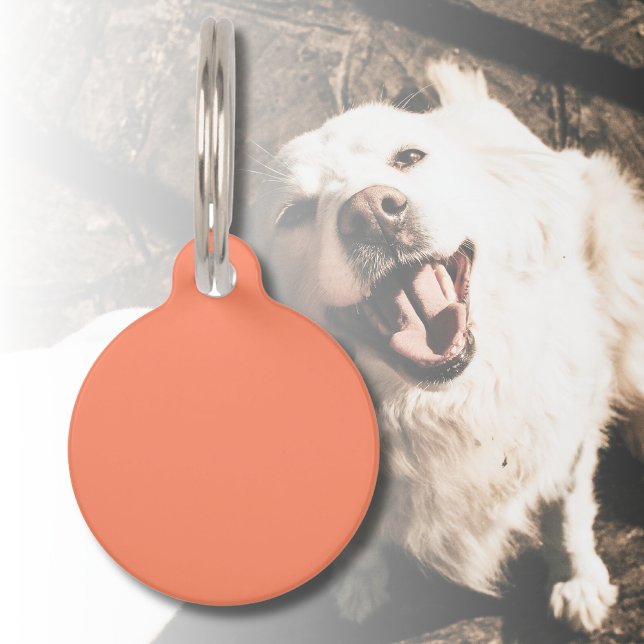 Salmon Pink Solid Colour | Trendy Colour Pet Tag (Creator Uploaded)