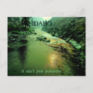 Salmon River in Idaho Postcard