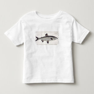 Salmon (Salmo Maraena) plate XXVII from 'Ichthyolo Toddler T-Shirt