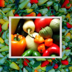 Salsa Vegetables, Tomato, Peppers, Onion Postcard
