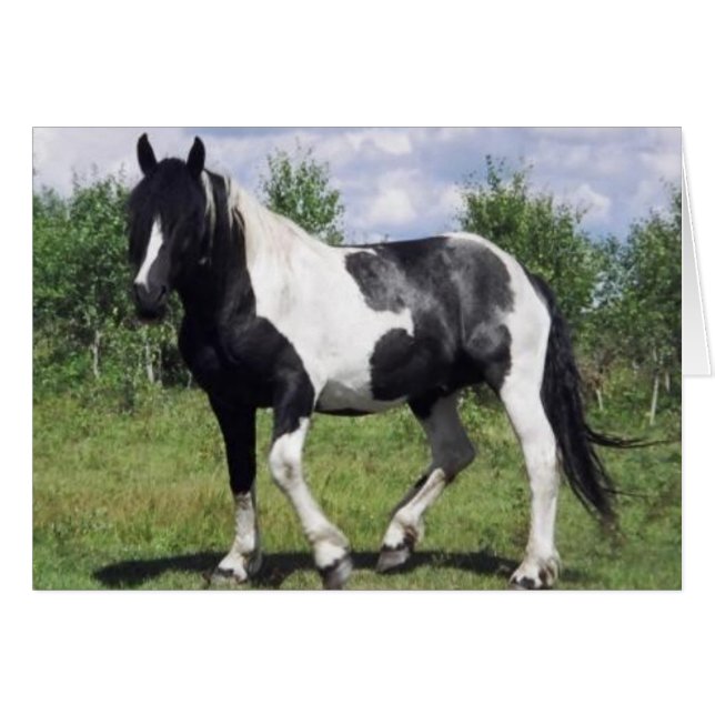 Salt (Front Horizontal)