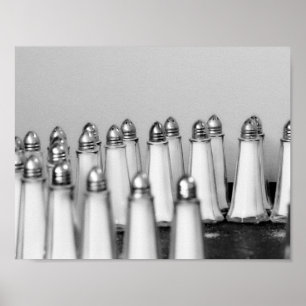 Salt and Pepper Art Photograph Poster
