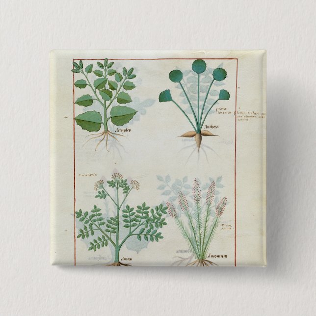 Salt Bush and Anthora Absinthium and Cardamom 15 Cm Square Badge (Front)