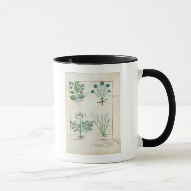 Salt Bush and Anthora Absinthium and Cardamom Mug (Right)