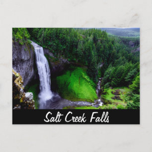 Salt Creek Falls, Oregon Postcard