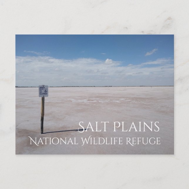 Salt Flats, Salt Plains National Wildlife Refuge Postcard (Front)