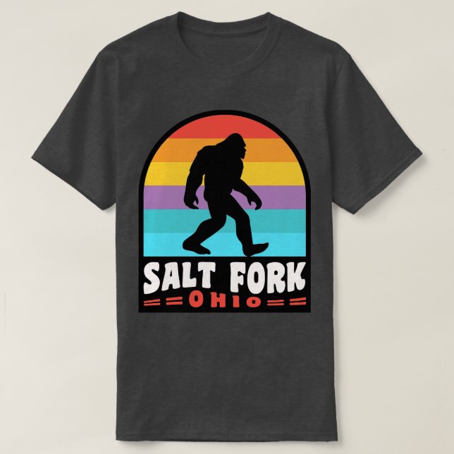 Salt Fork State Park Ohio T-Shirt (Design Front)