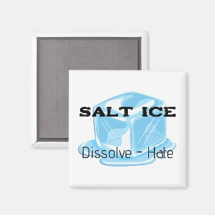 Salt Ice Magnet