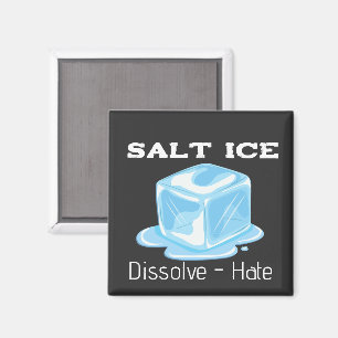 Salt Ice Magnet