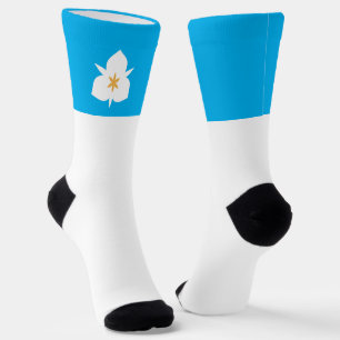 Salt Lake City (Utah) city flag Socks