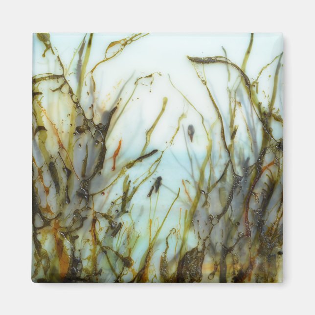 "Salt Marsh Morning" Magnet (Front)