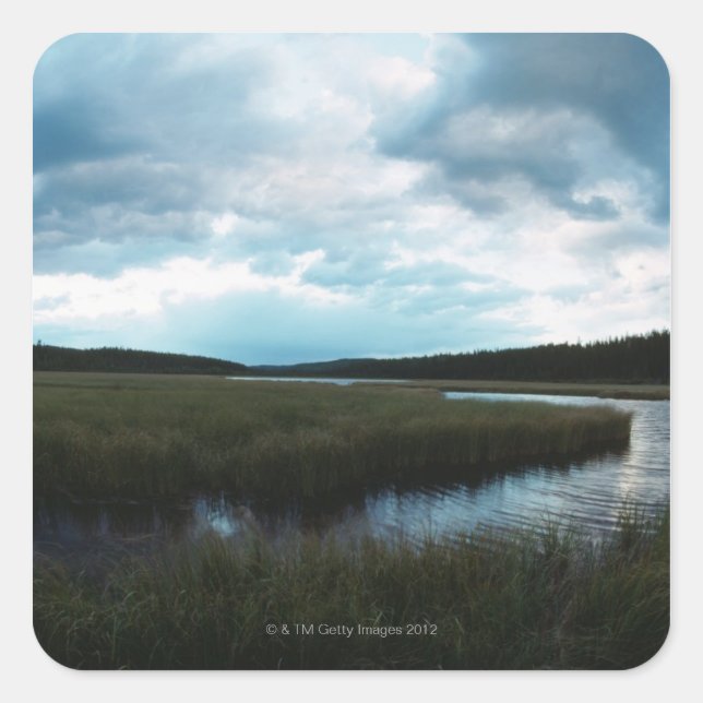 Salt marsh square sticker (Front)