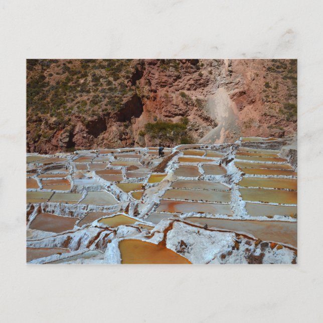 Salt Pans of Maras, Peru Postcard (Front)