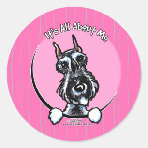 Salt Pepper Schnauzer IAAM Classic Round Sticker