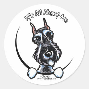 Salt Pepper Schnauzer IAAM Classic Round Sticker