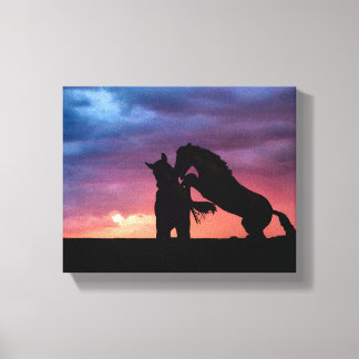 Salt River wild horse sunset 10x8 Wrapped canvas