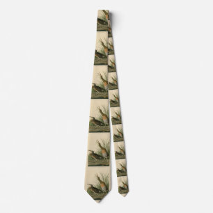 Salt Water Marsh Hen - Audubon's Birds of America Tie